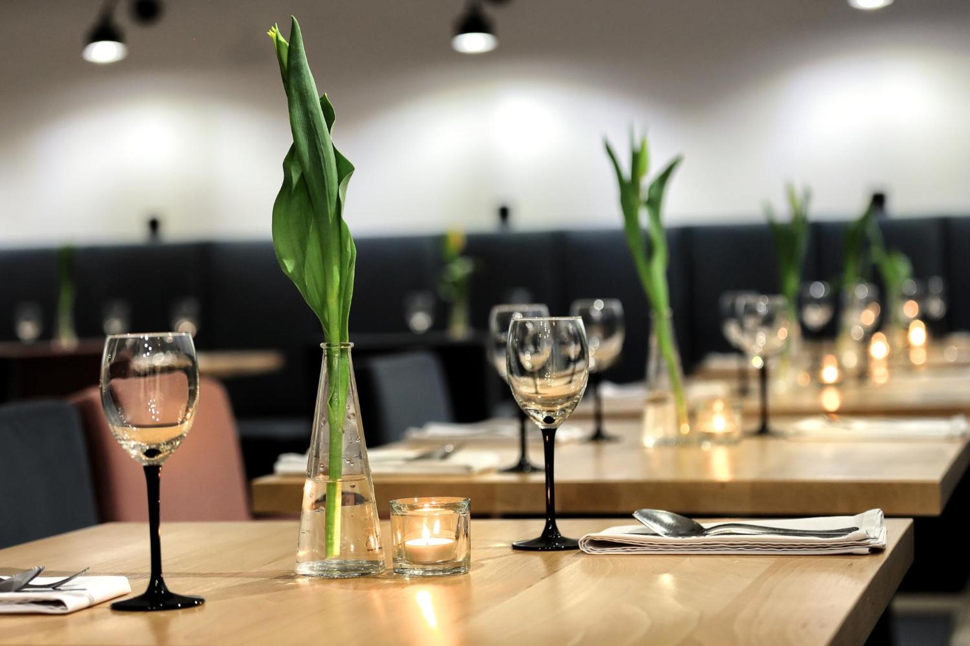 Namysłów Dworek Rozany Hotel & Restauracja מראה חיצוני תמונה